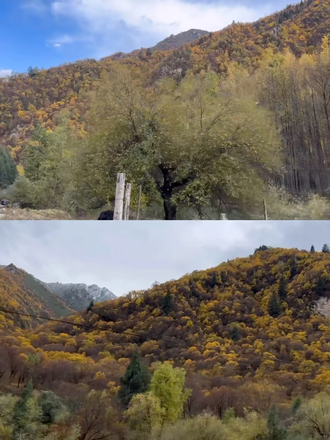 十一假期｜兰州周边｜秋天的山沟沟美到窒息🍂