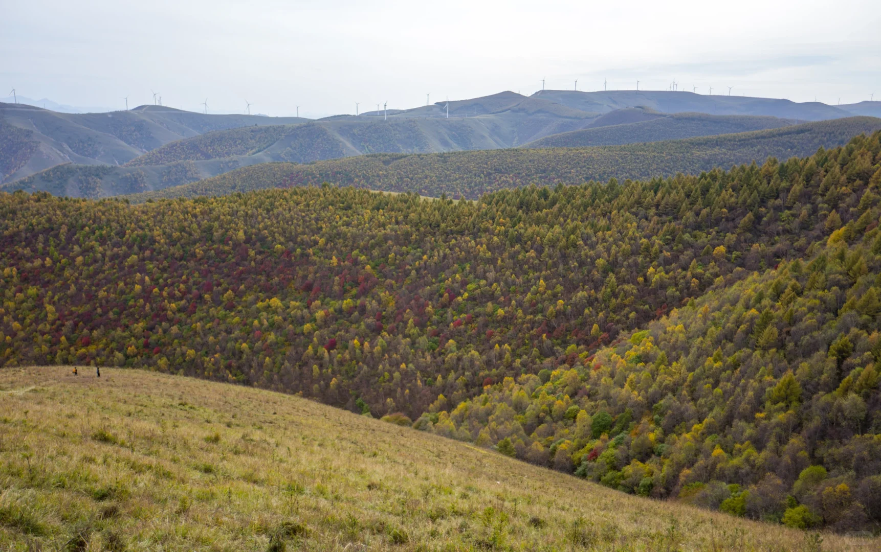 十一河北人少开车直达山顶溪流五彩林在这里
