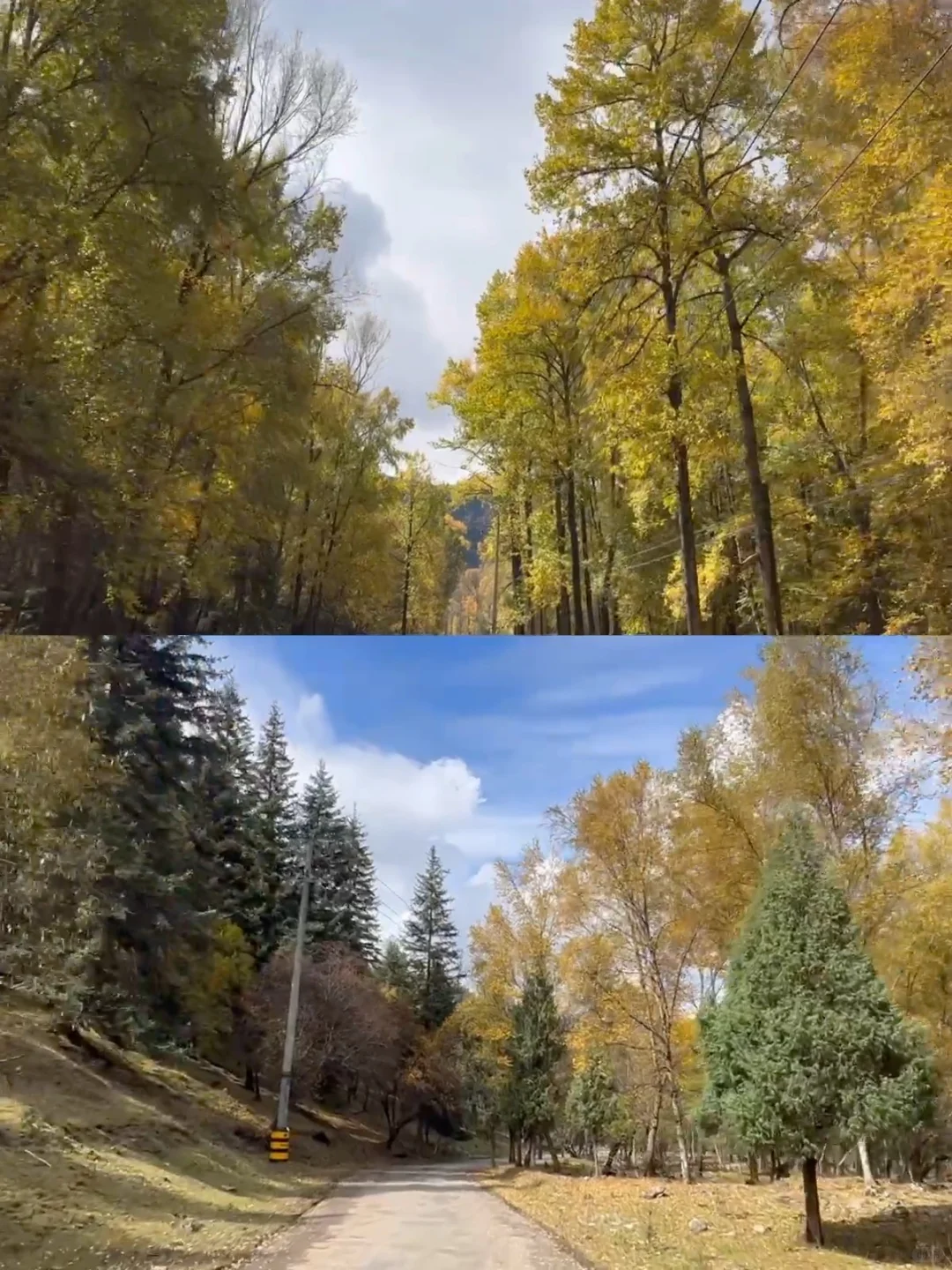 十一假期｜兰州周边｜秋天的山沟沟美到窒息🍂