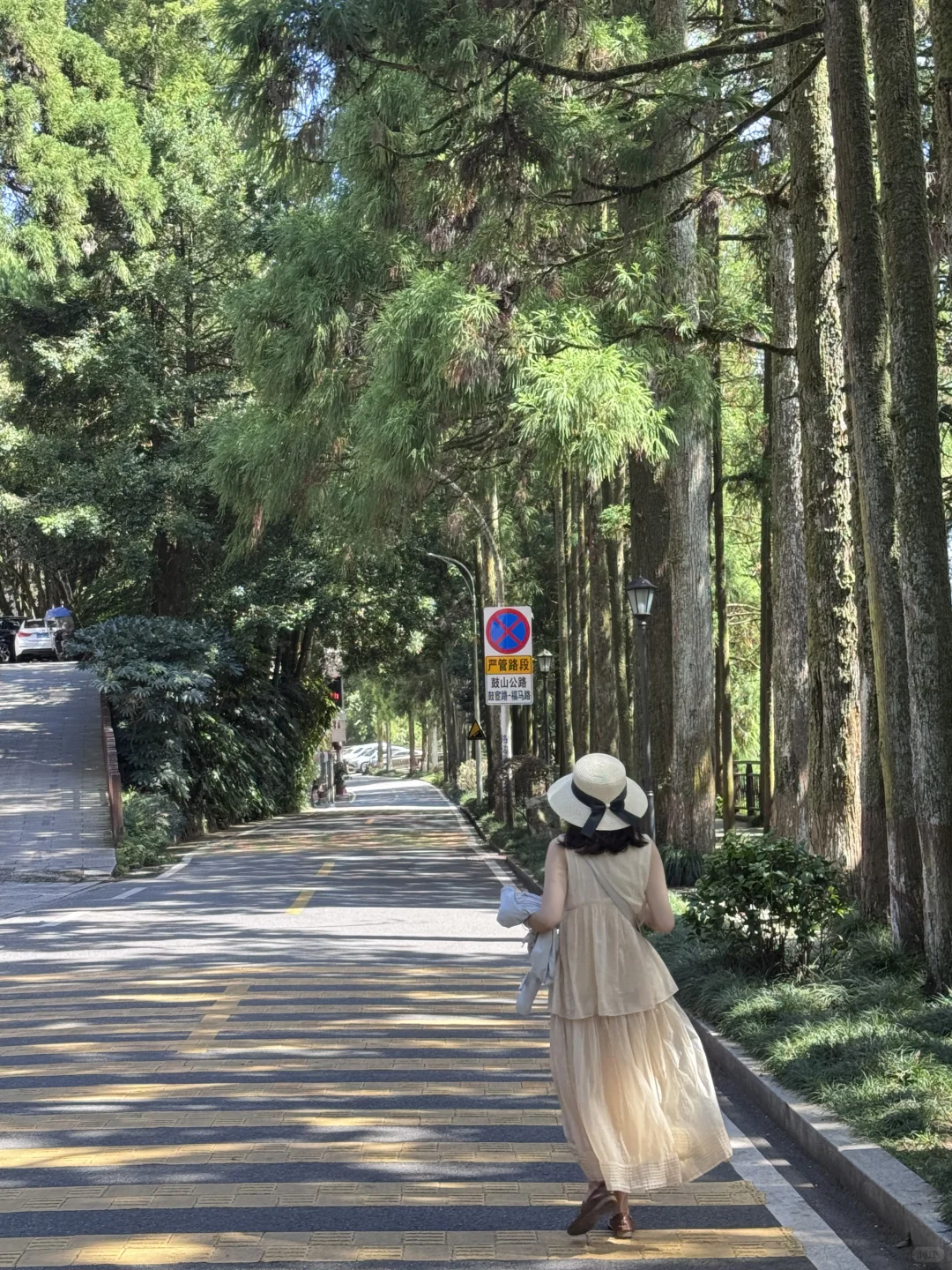 福州鼓岭你还有多少惊喜是我不知道的