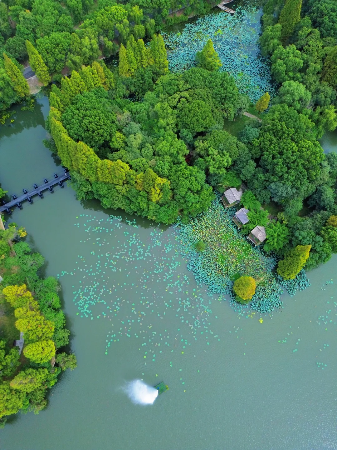 总要来一趟柯桥吧！感受先生笔下的江南！🍃