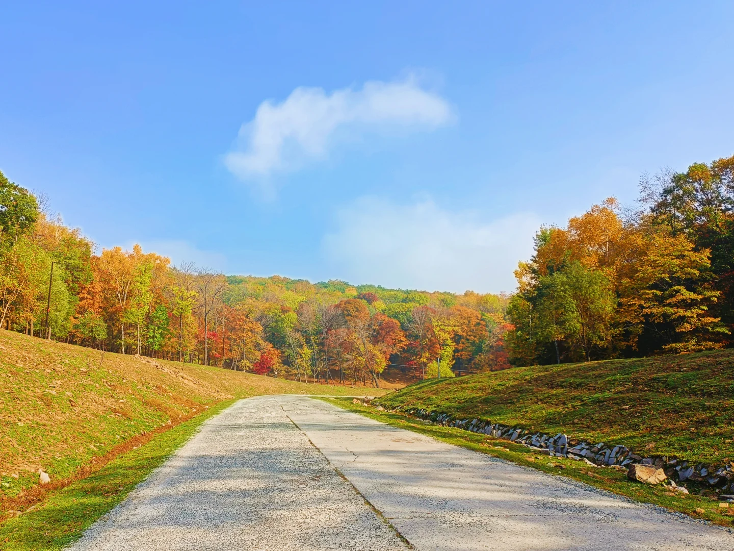 10.2花海路|哈尔滨的秋天已经是nextlevel了