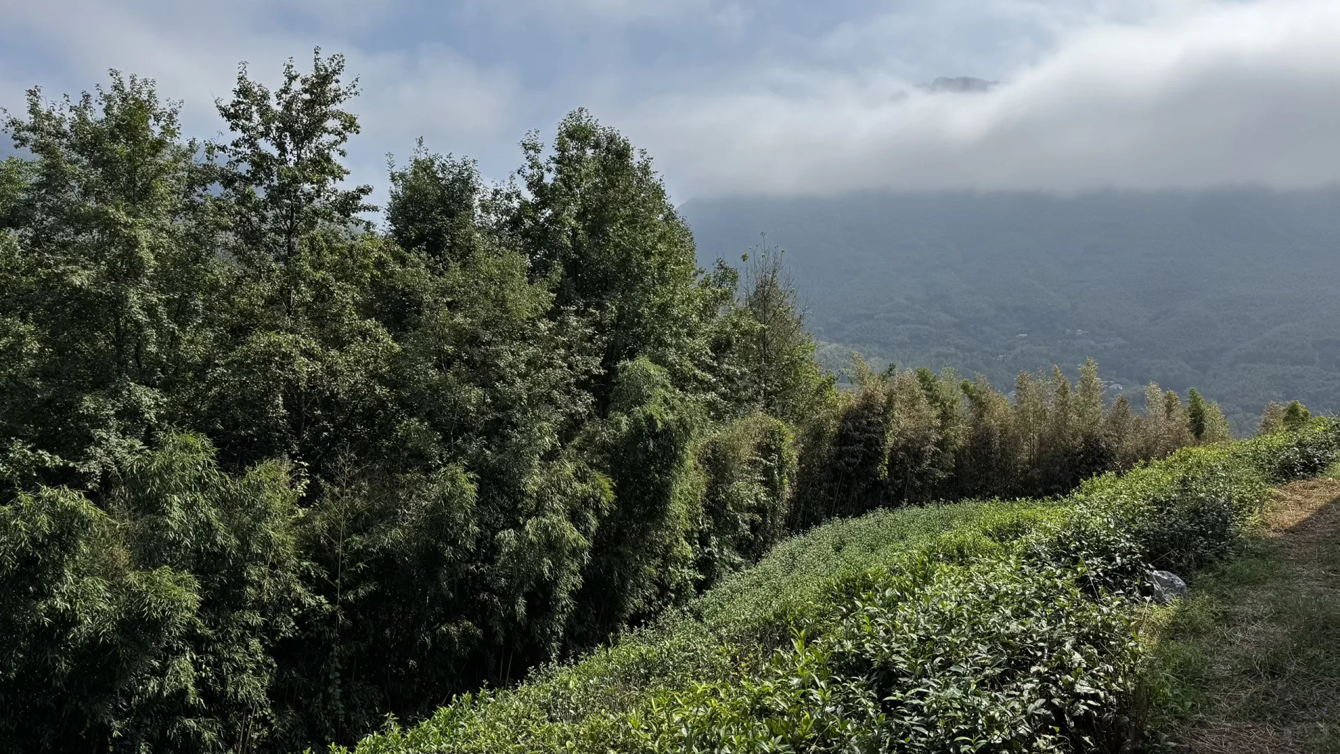 10月4号 皖南川藏线已去！太惊喜了！不堵车！