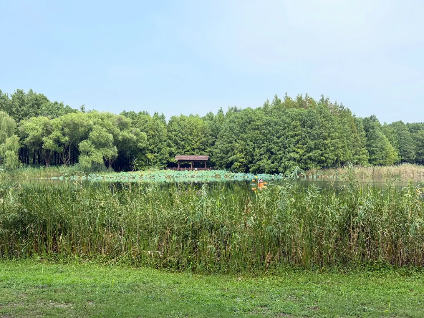 国庆第四天，虎丘湿地公园