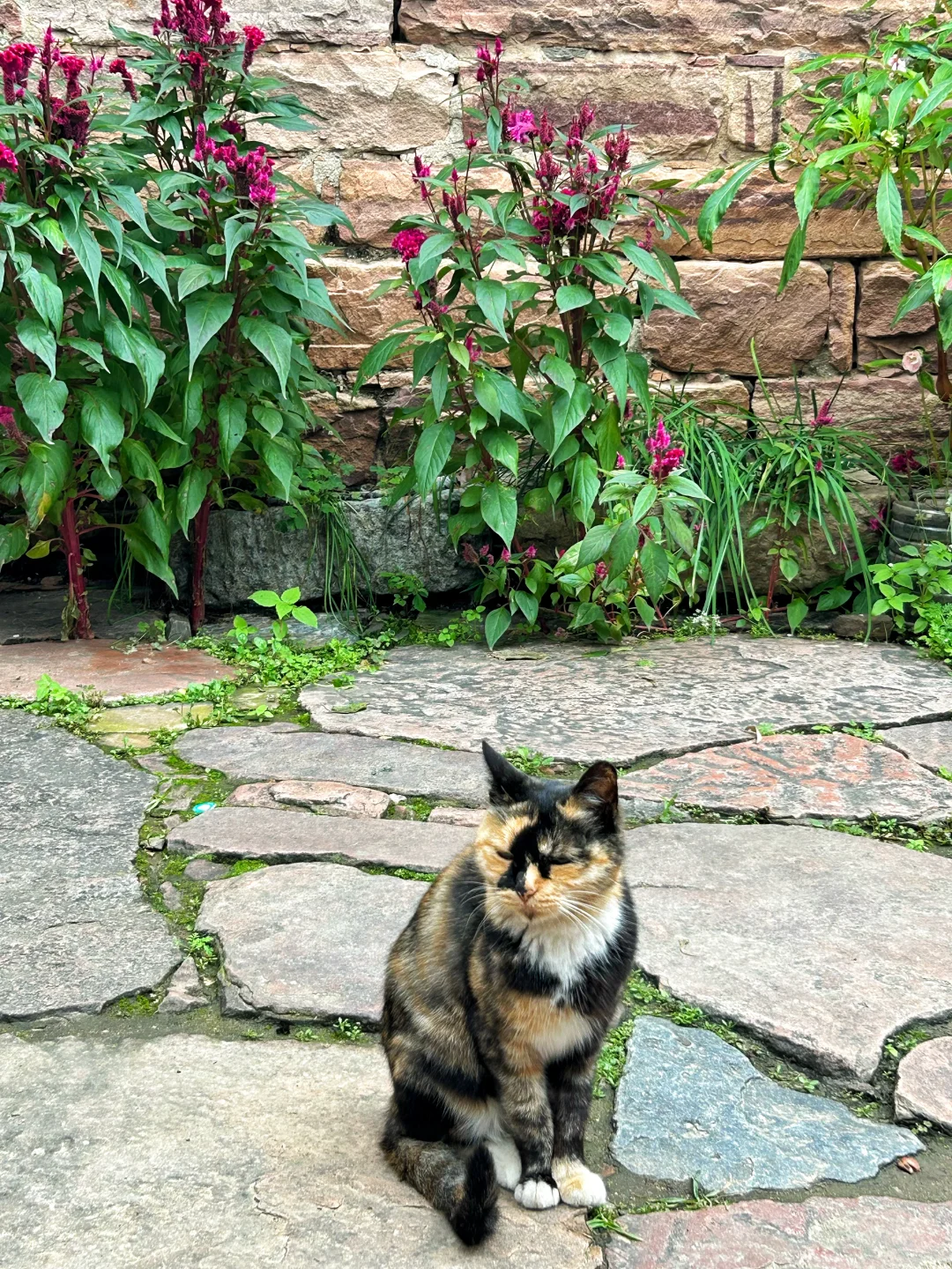 一座藏在太行山里的古寨🛖