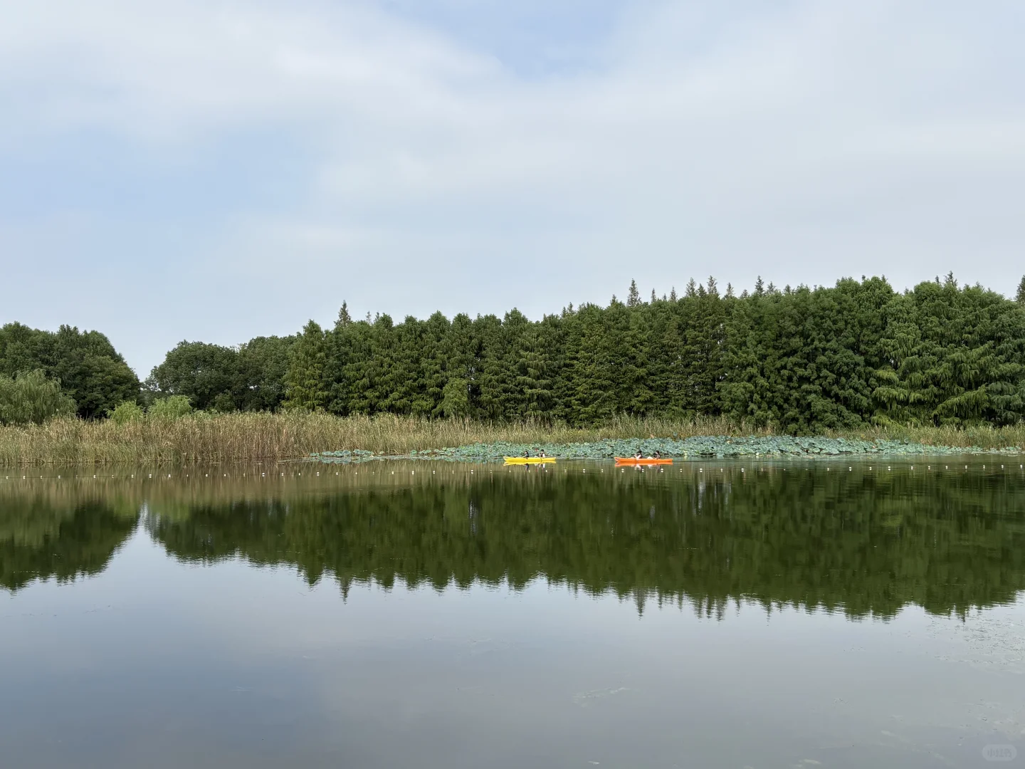 国庆第四天，虎丘湿地公园