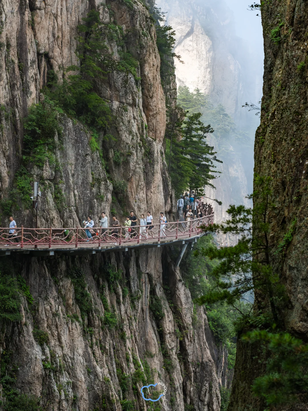 为了这18张图专门跑了趟洛阳🏮