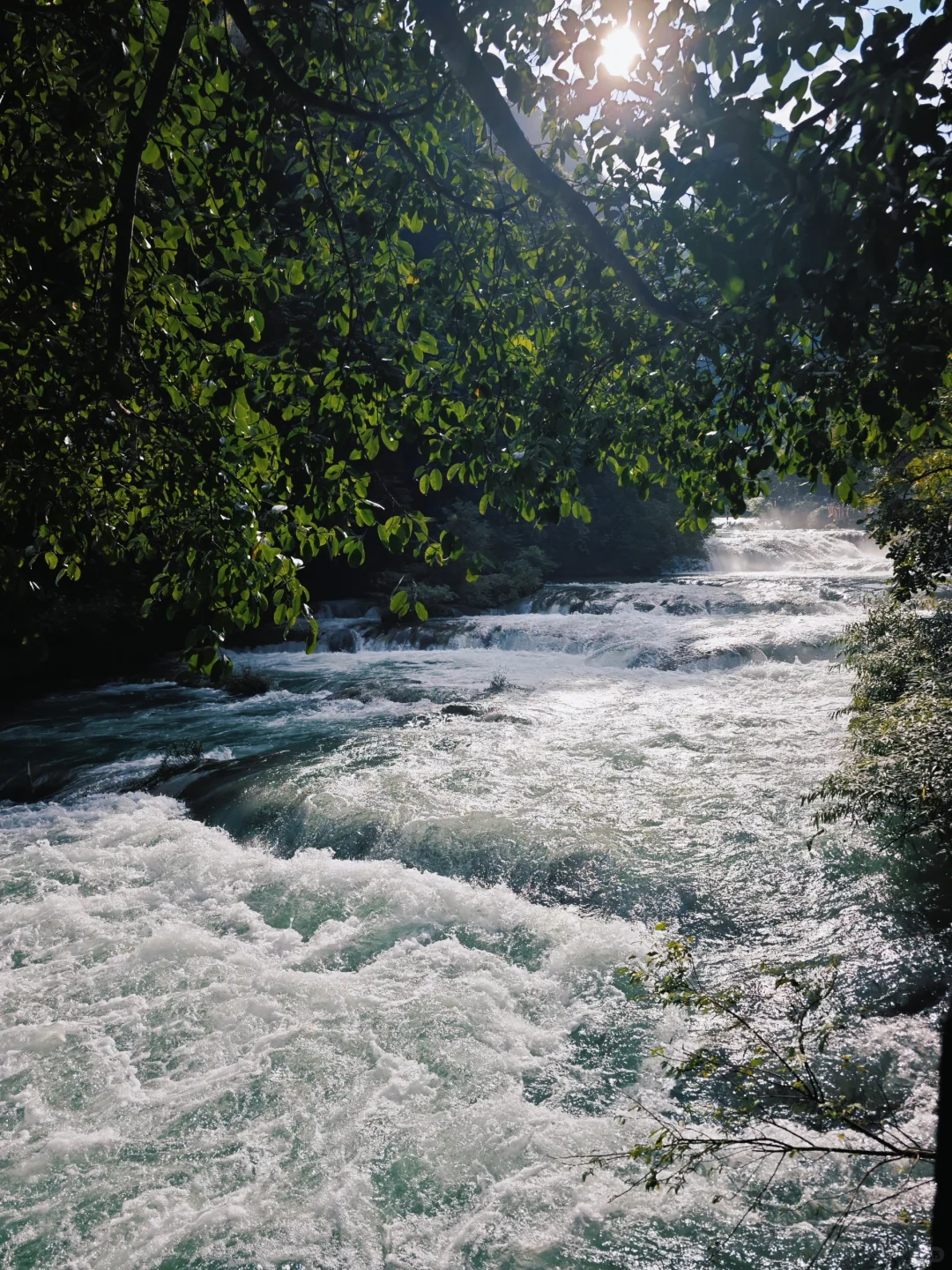 10月4号下午进荔波小七孔，没堵😳