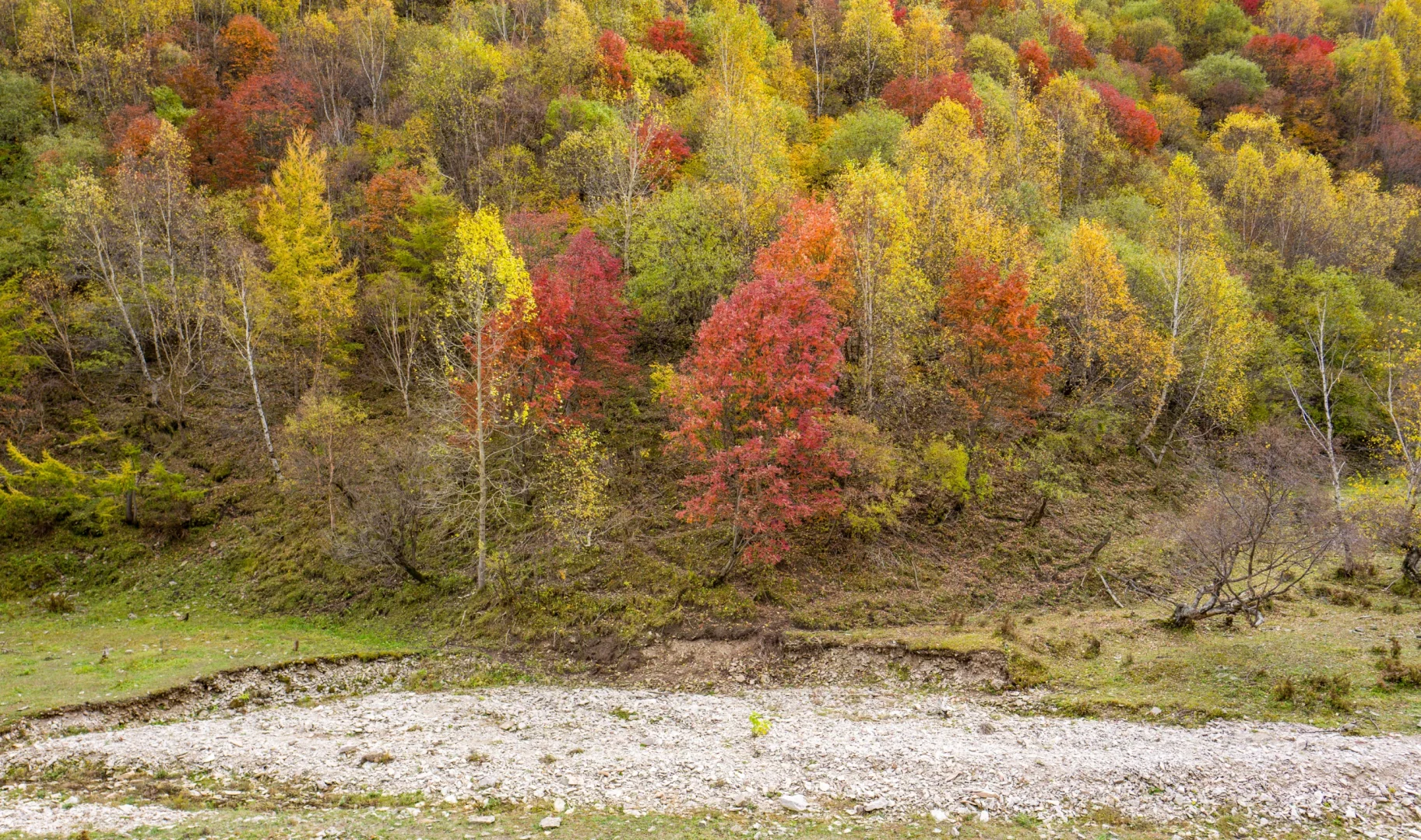 十一河北人少开车直达山顶溪流五彩林在这里