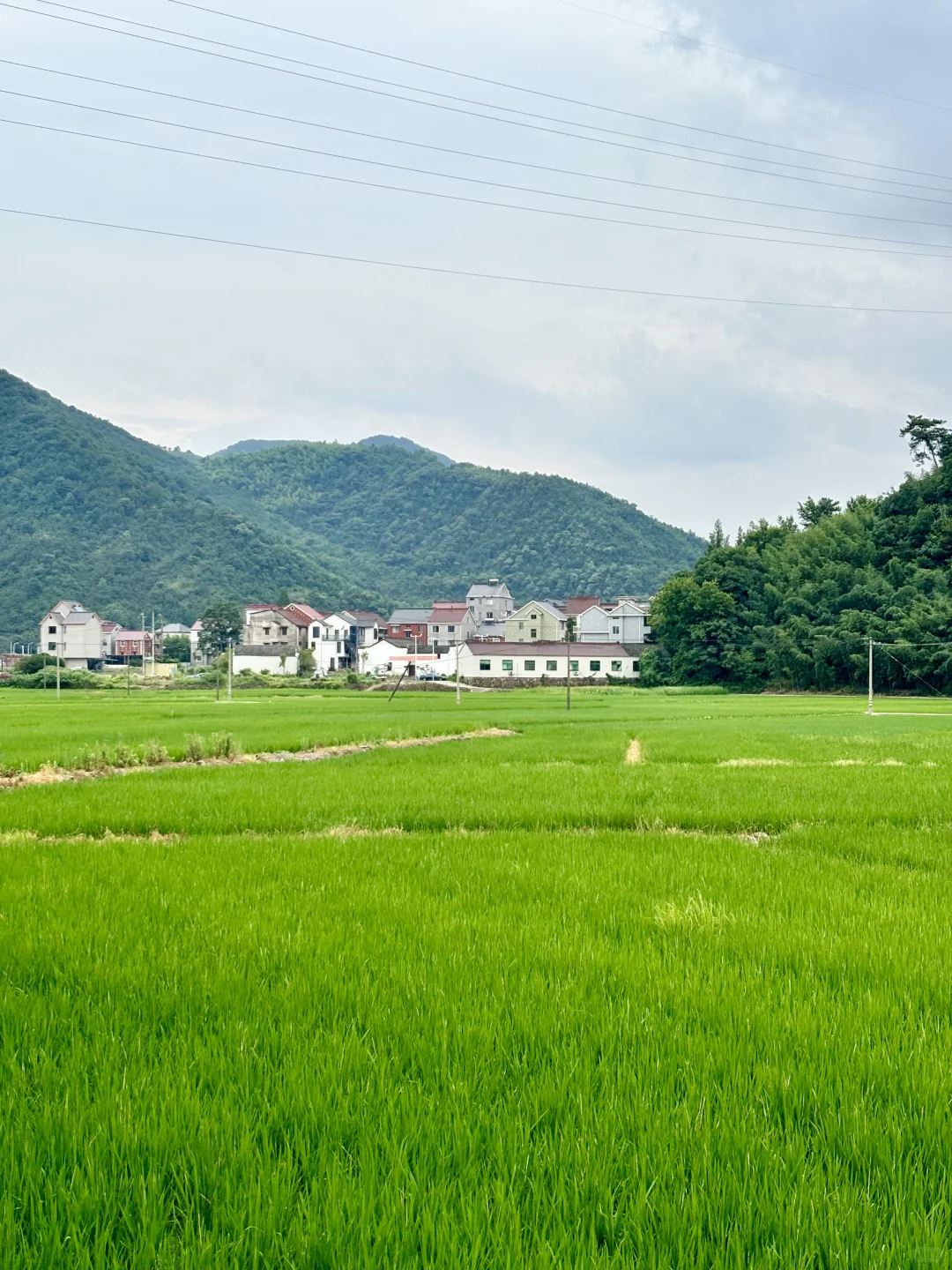 浙江最好的地方都是免费的……（富阳篇）