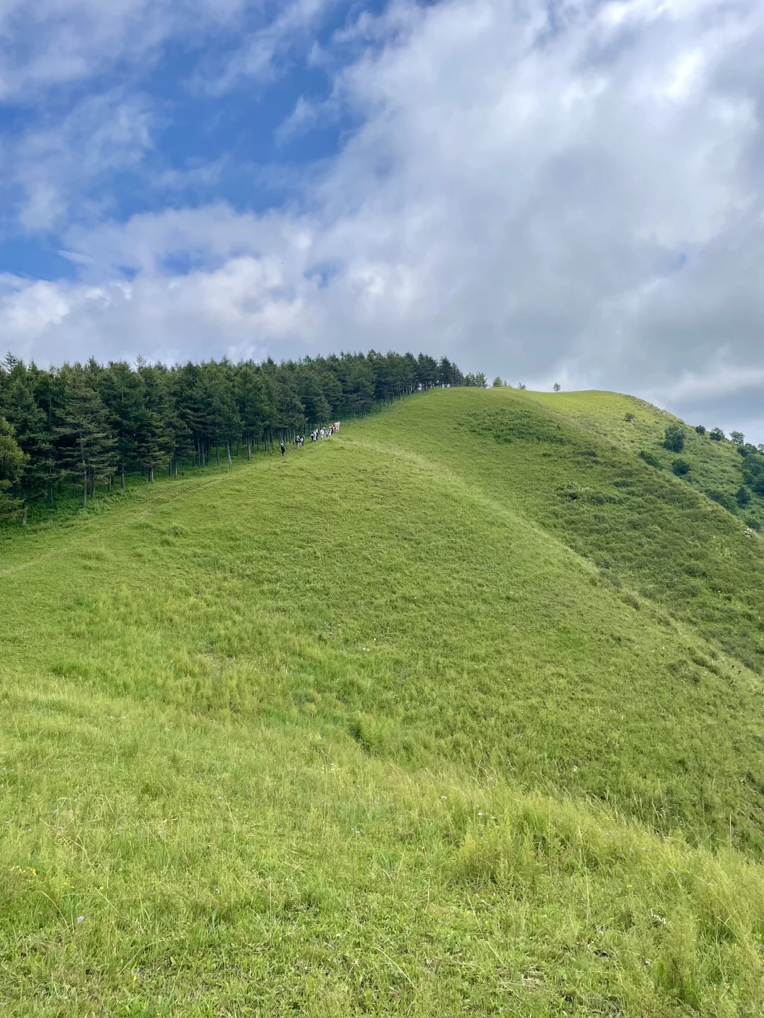 不是阿勒泰去不起，而是河北蔚县更有性价比