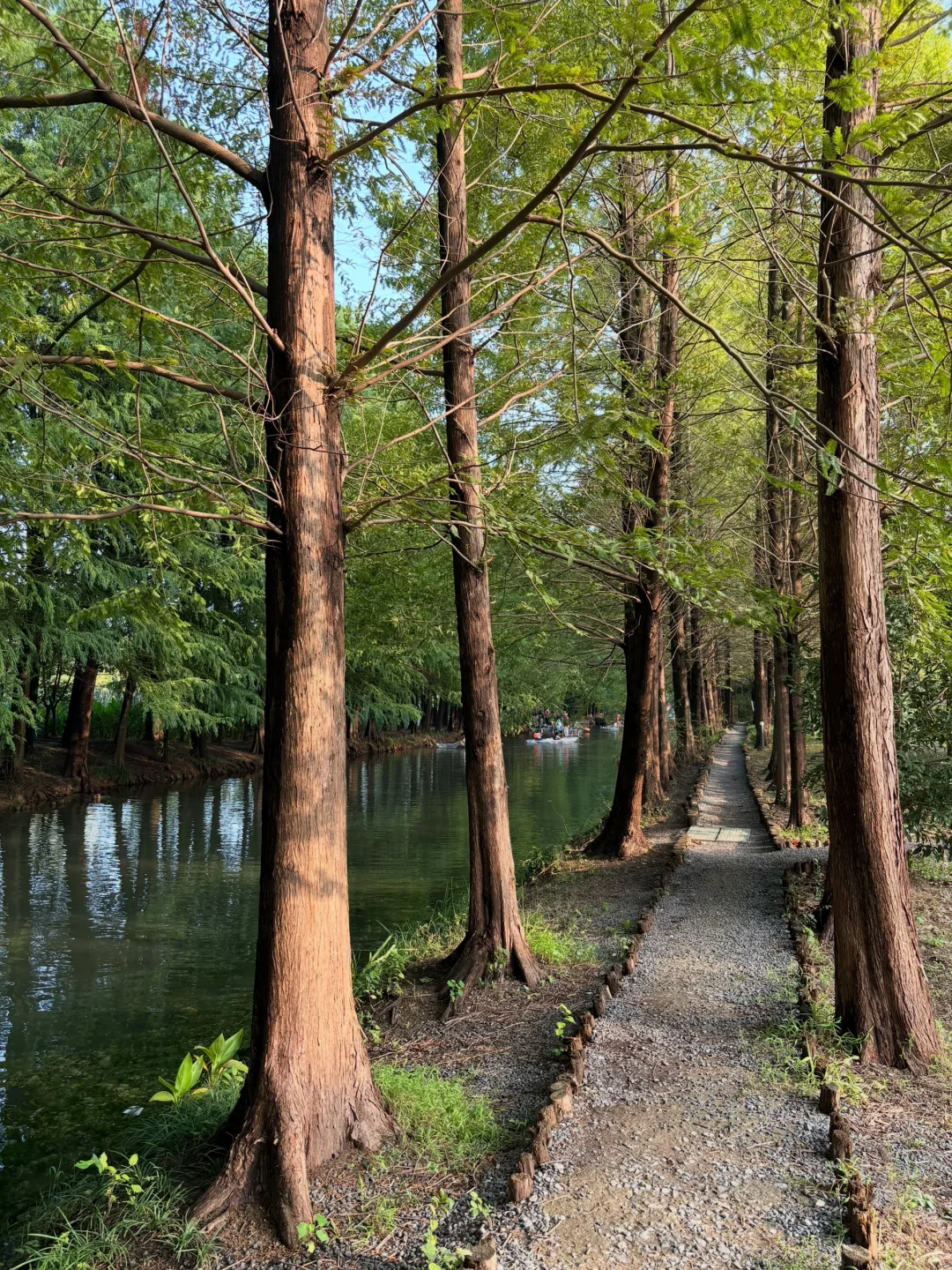 国庆第四天，虎丘湿地公园