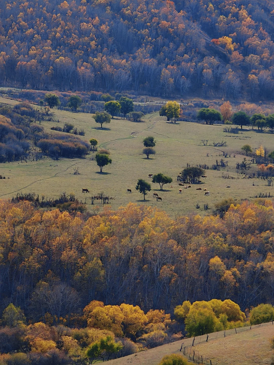 10.1实拍，御道口风景区的秋天可以封神了❗