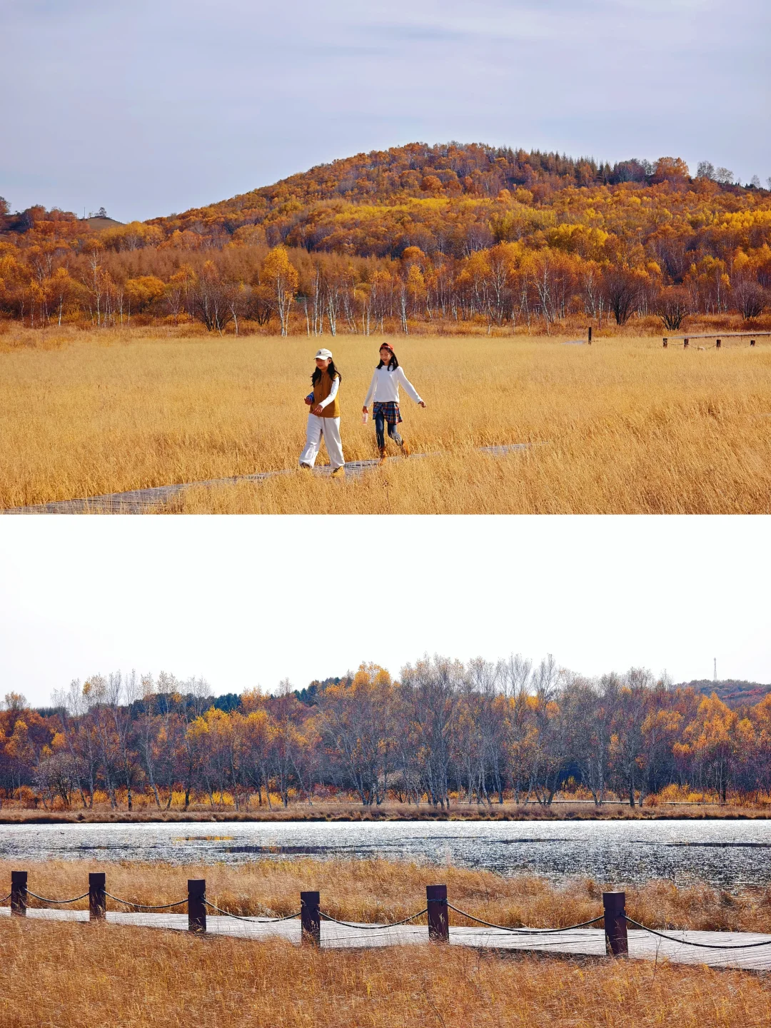 10.1实拍，御道口风景区的秋天可以封神了❗