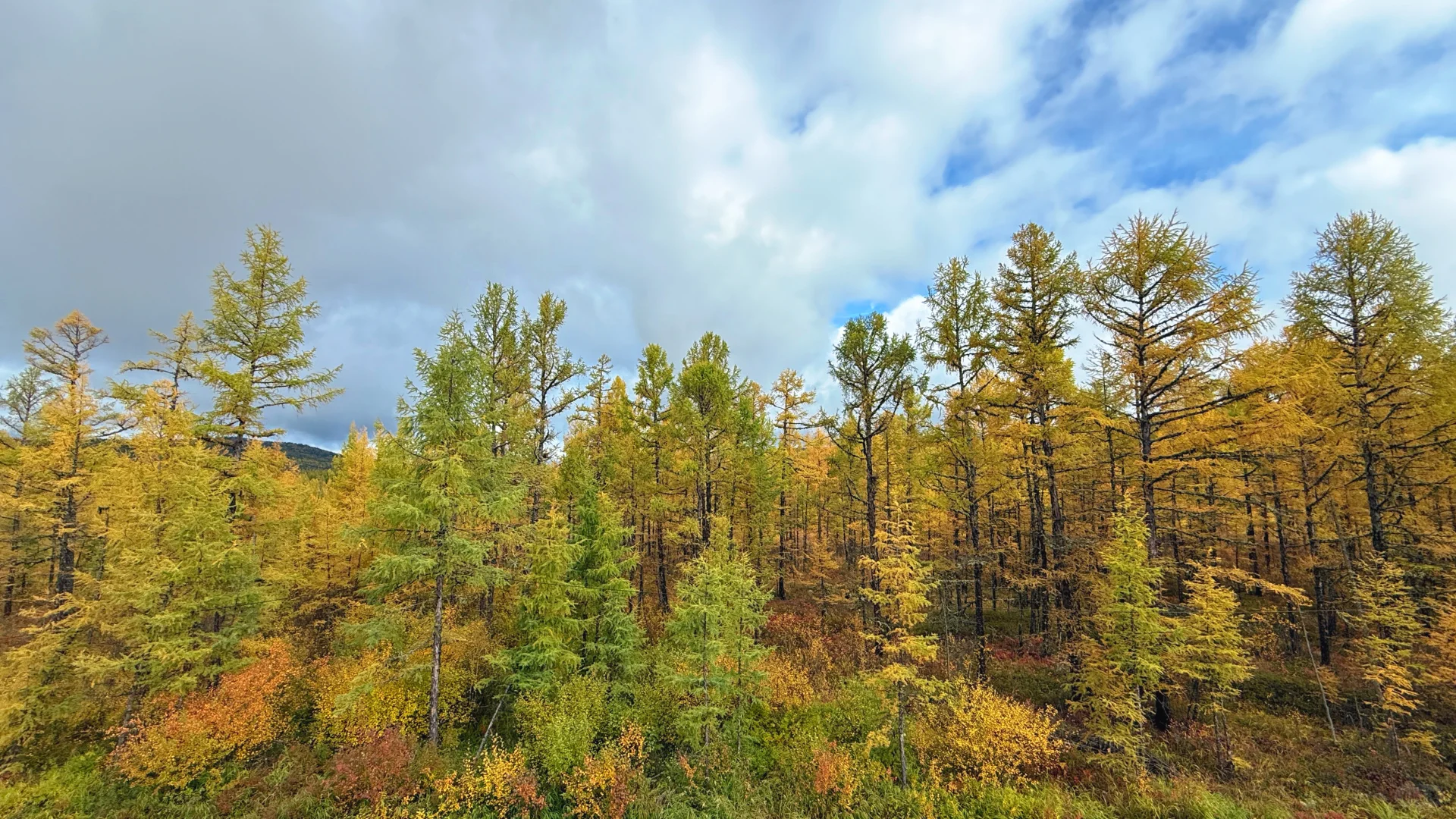 2025.9.13奇乾—室韦