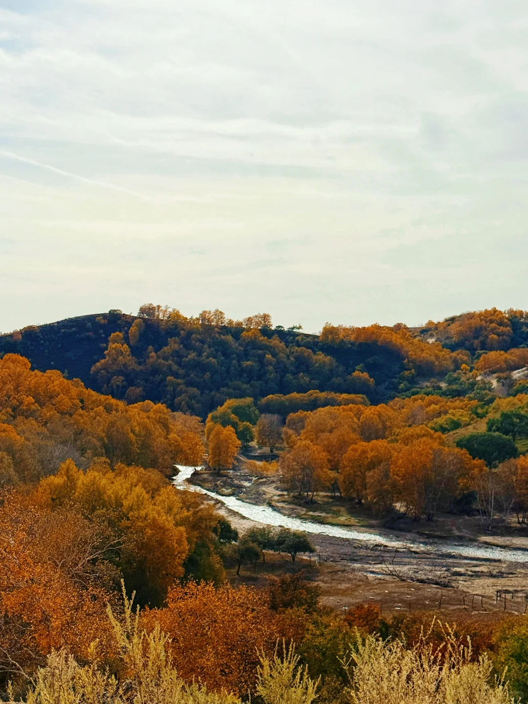 这次没有错过乌兰布统的秋