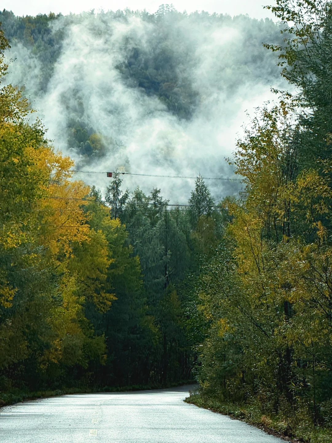 2025.9.13奇乾—室韦