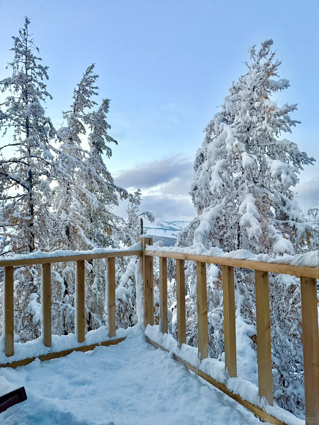 人间仙境 国庆喀纳斯初雪❄️