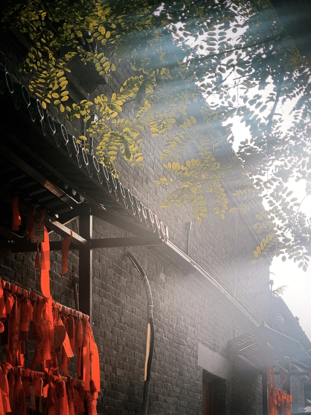 为了拍这佛光，特意飞了河北！