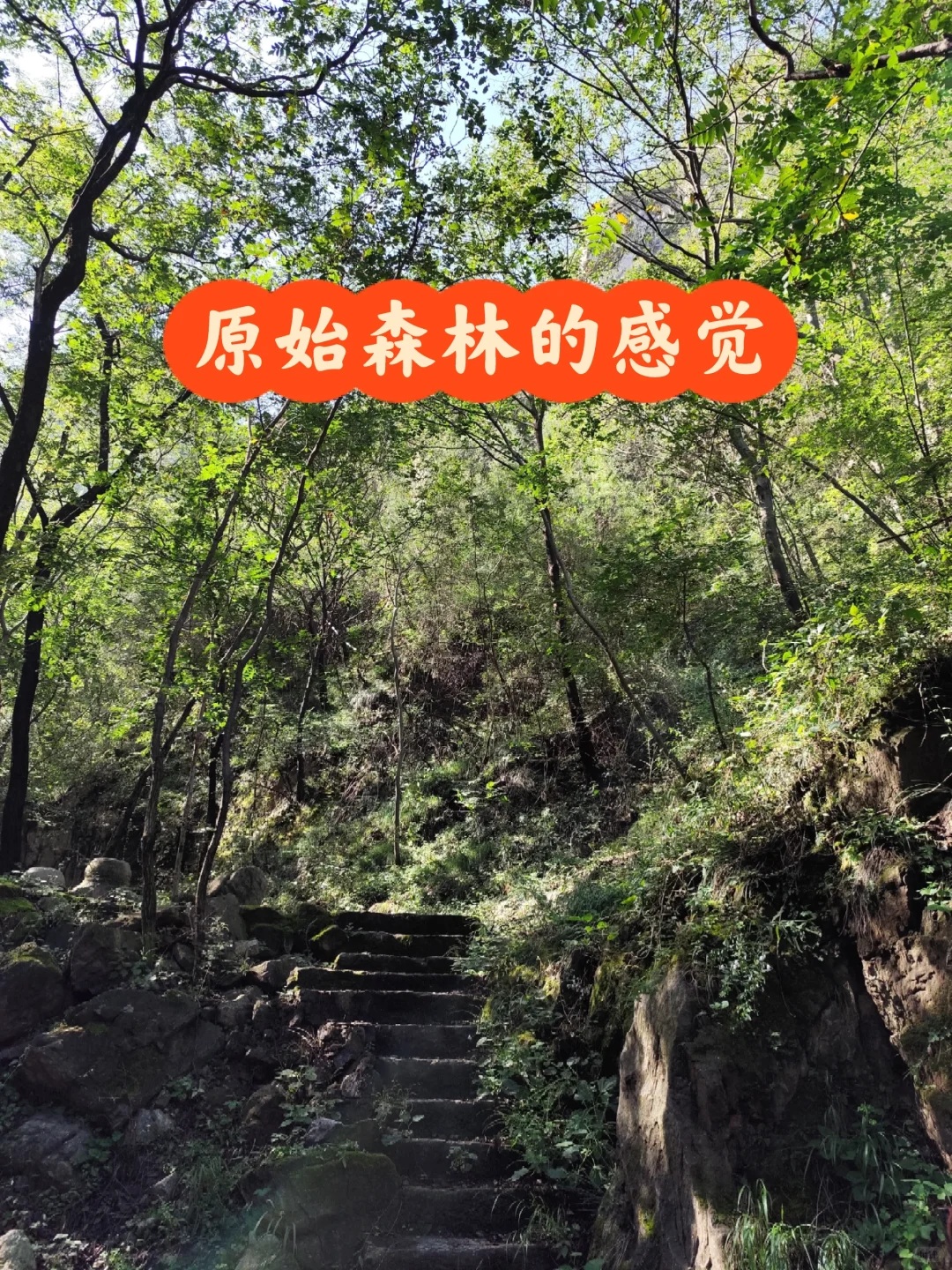 周末登山｜河北邯郸磁县聚龙山
