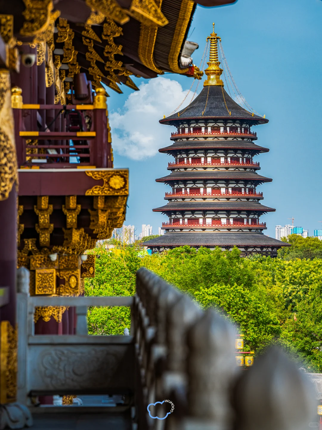 为了这18张图专门跑了趟洛阳🏮