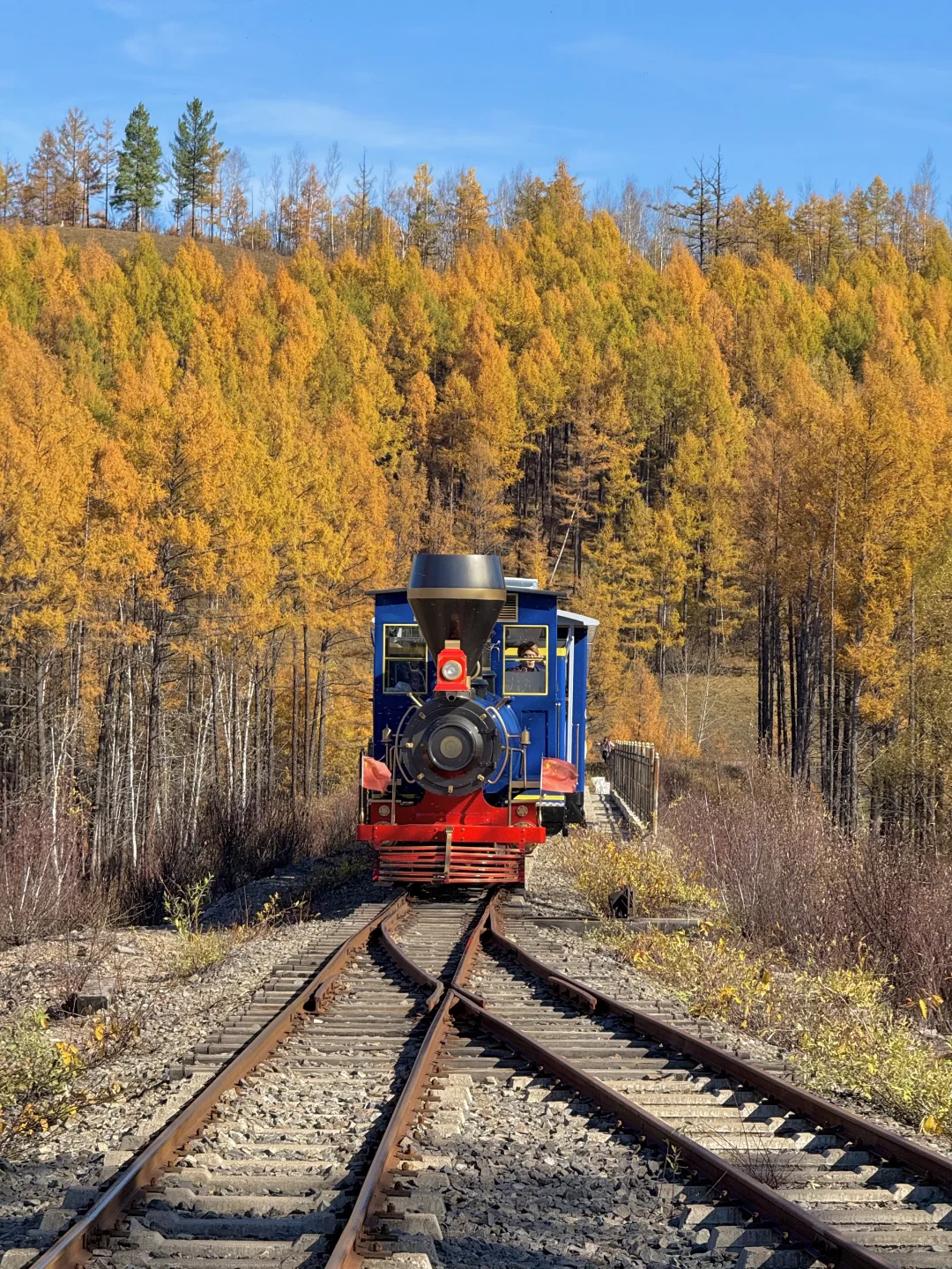10.1 live图实况❗️此刻的呼伦贝尔杀疯了😭