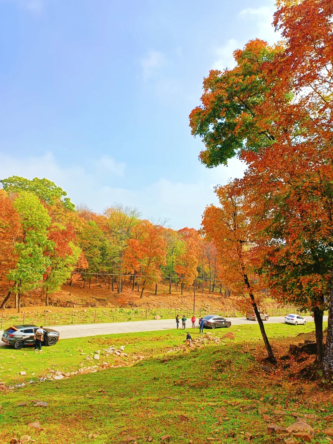 10.2花海路|哈尔滨的秋天已经是nextlevel了