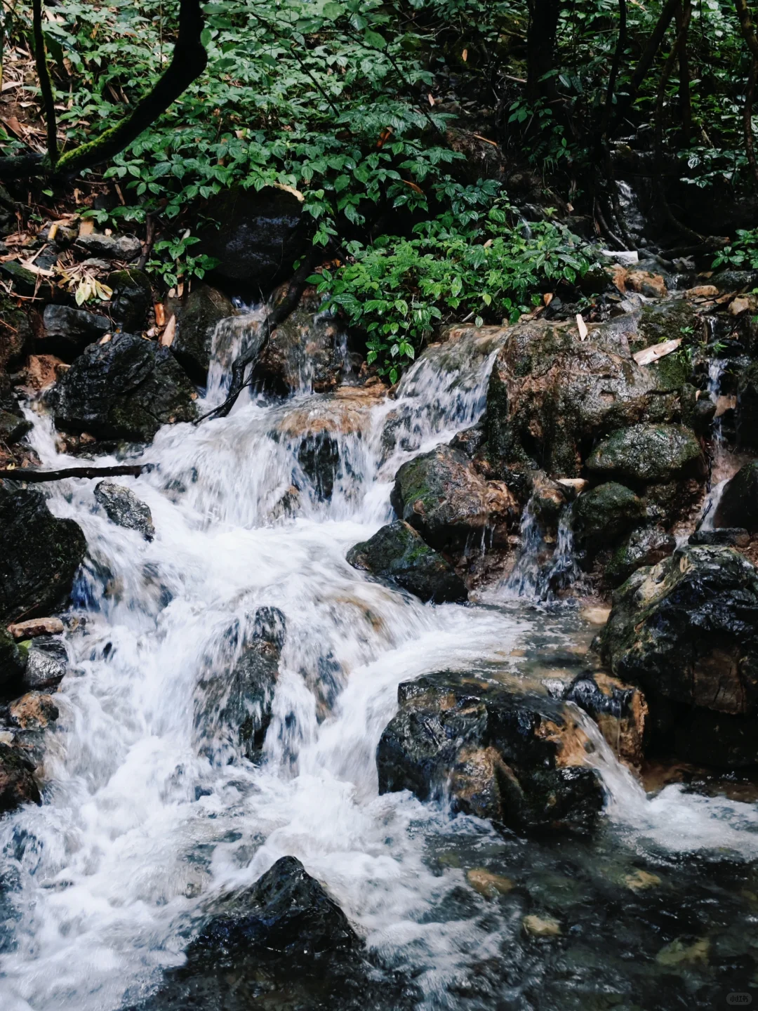 10月4号下午进荔波小七孔，没堵😳