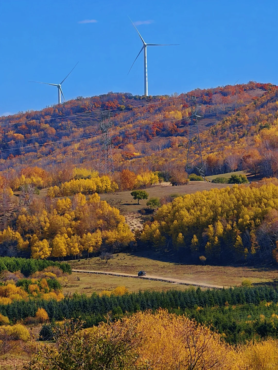 10.1实拍，御道口风景区的秋天可以封神了❗