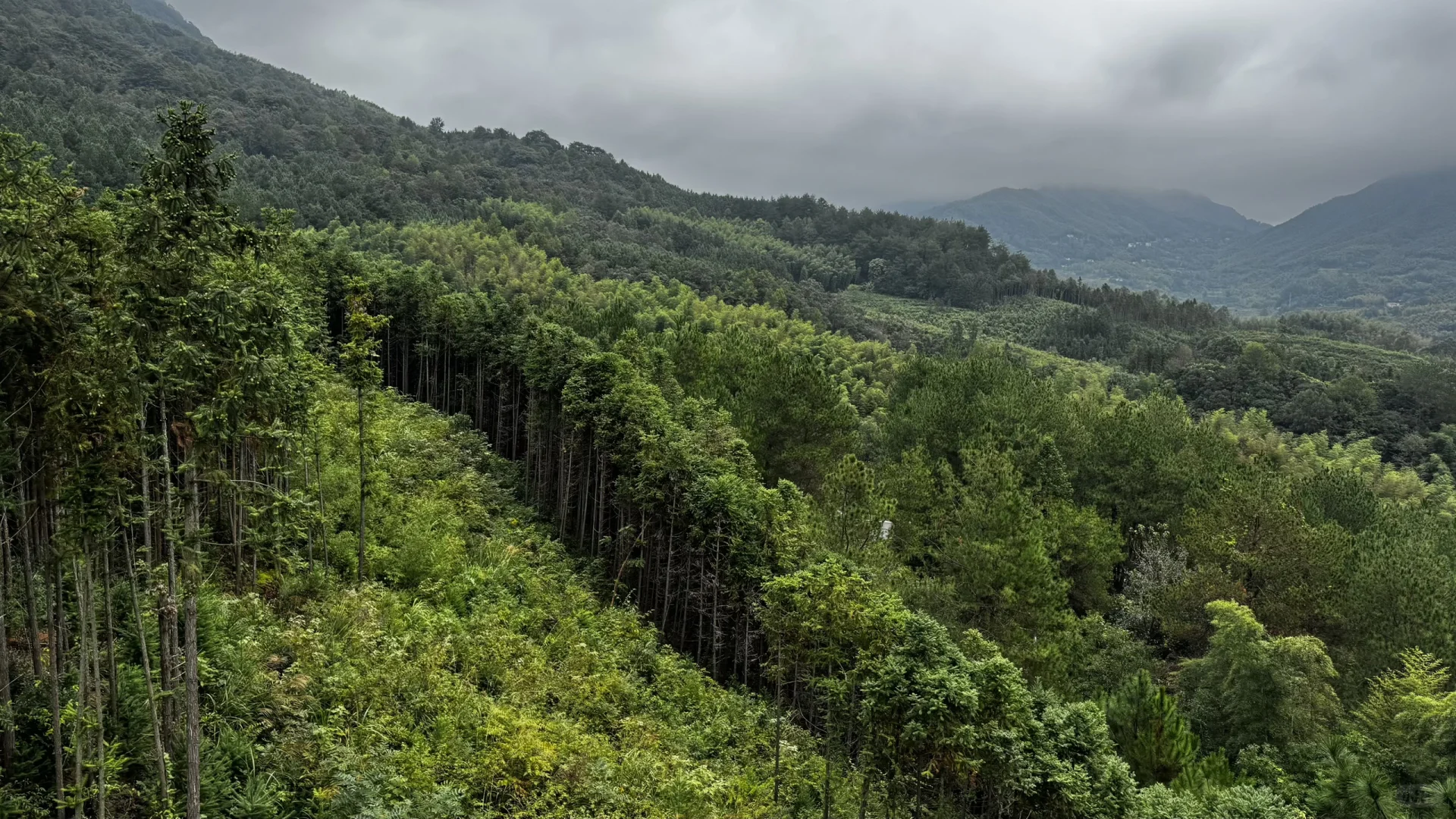10月4号 皖南川藏线已去！太惊喜了！不堵车！