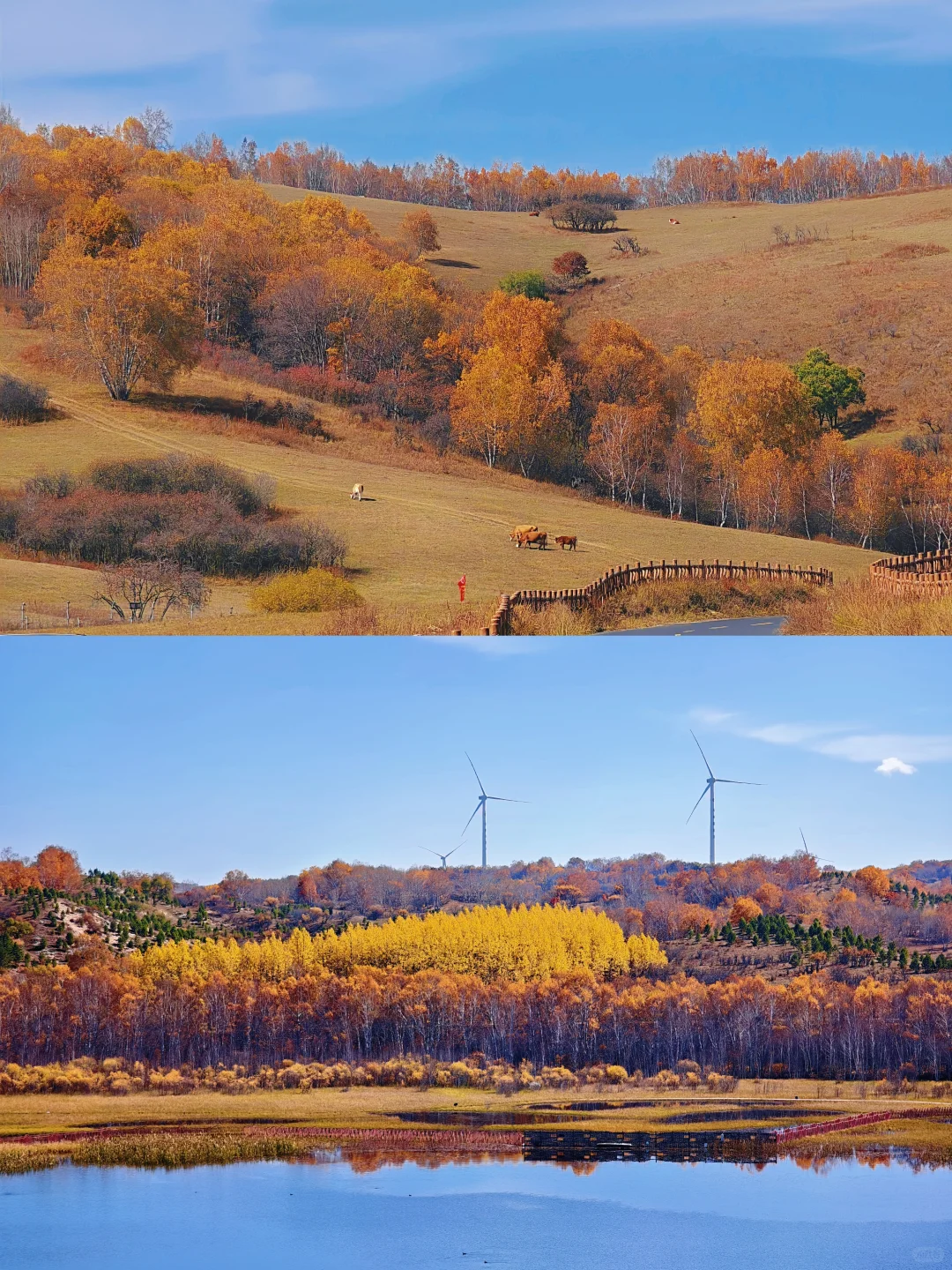 10.1实拍，御道口风景区的秋天可以封神了❗