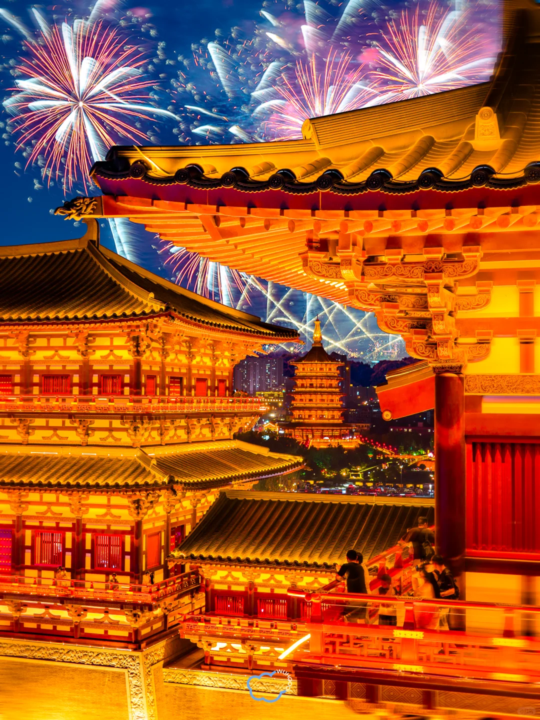 为了这18张图专门跑了趟洛阳🏮