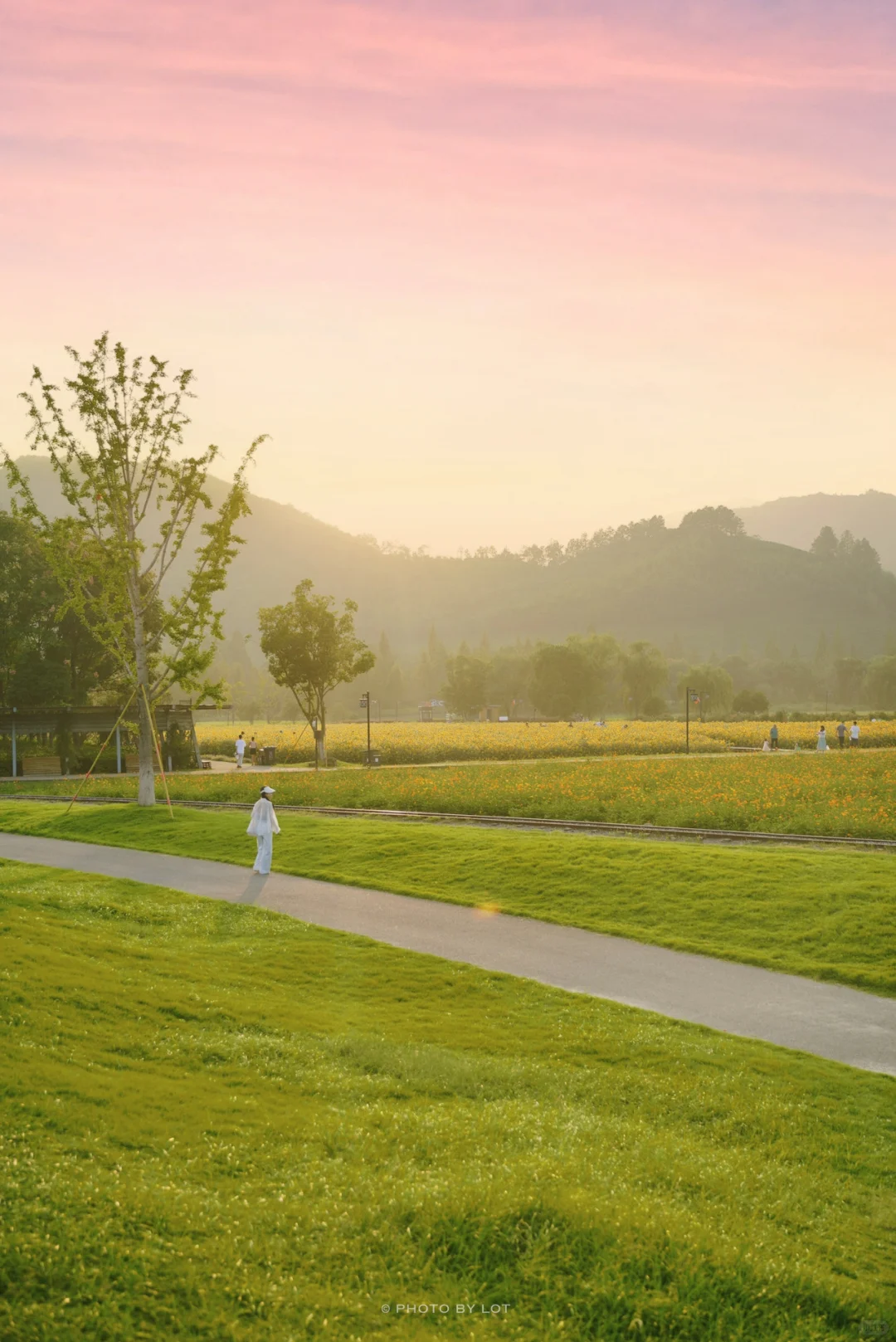 10.4📷 杭州径山花海进入最美花季