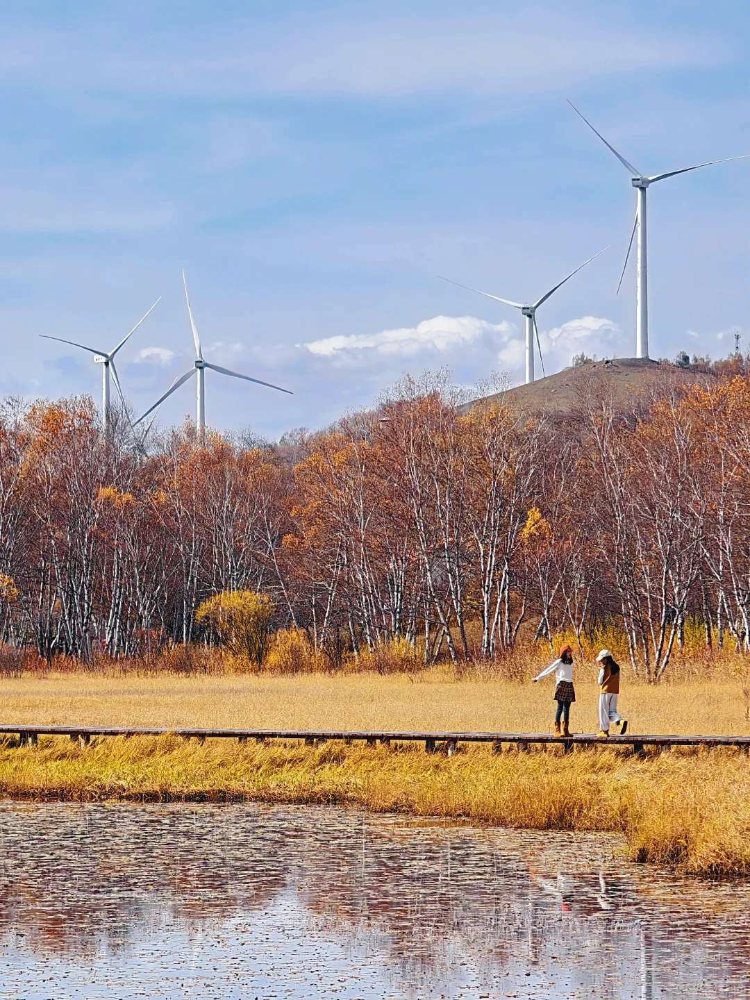 10.1实拍，御道口风景区的秋天可以封神了❗