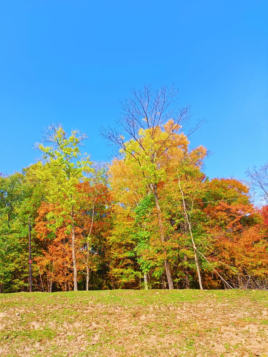 10.2花海路|哈尔滨的秋天已经是nextlevel了