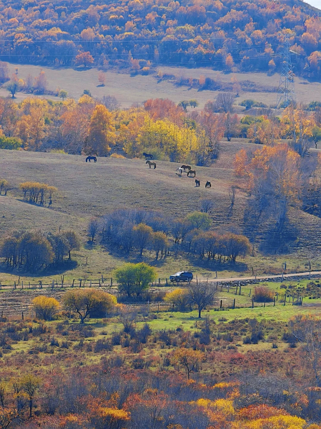 10.1实拍，御道口风景区的秋天可以封神了❗