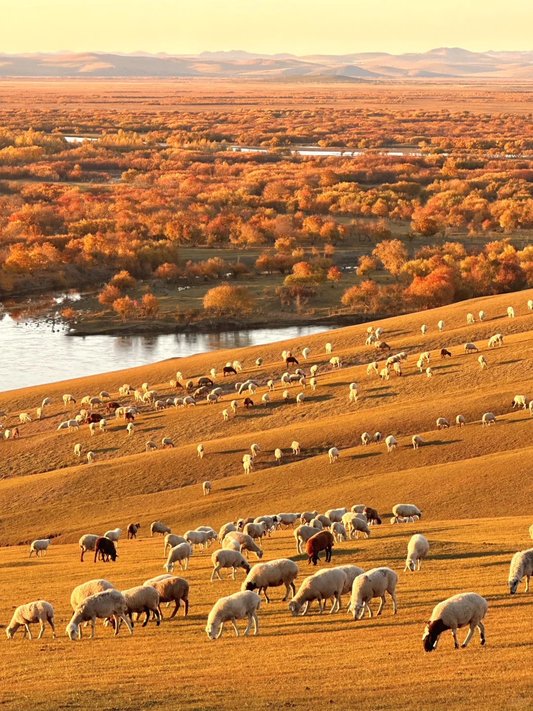 10.1 live图实况❗️此刻的呼伦贝尔杀疯了😭