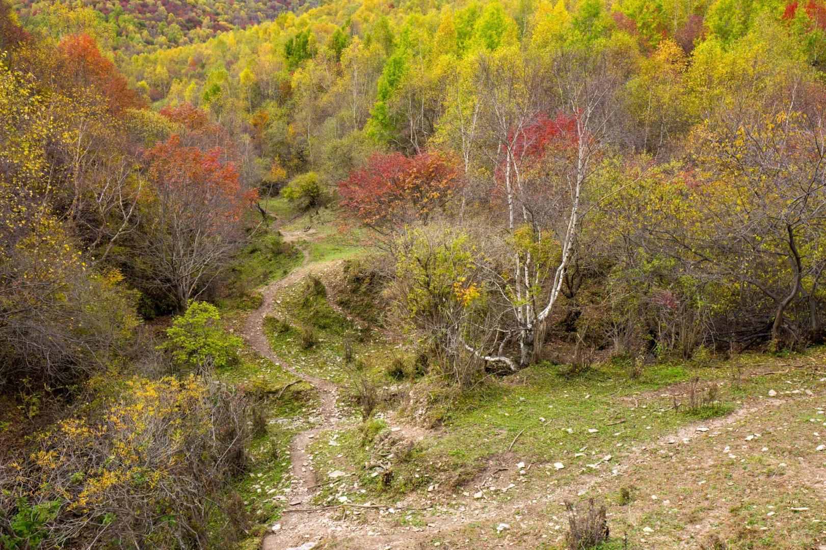 十一河北人少开车直达山顶溪流五彩林在这里