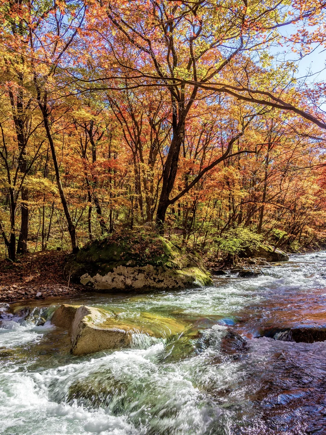 秋景封神！本溪赏枫全攻略🍁