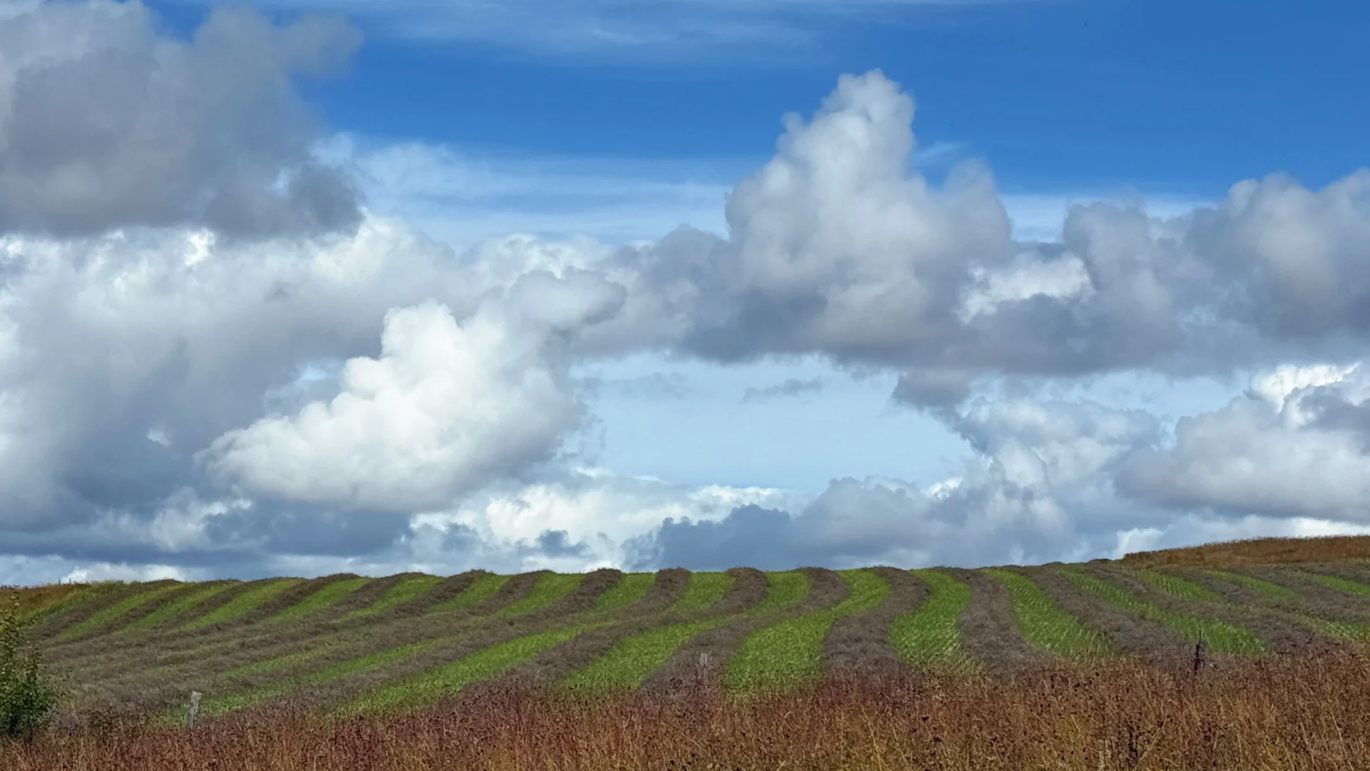 2025.9.13奇乾—室韦
