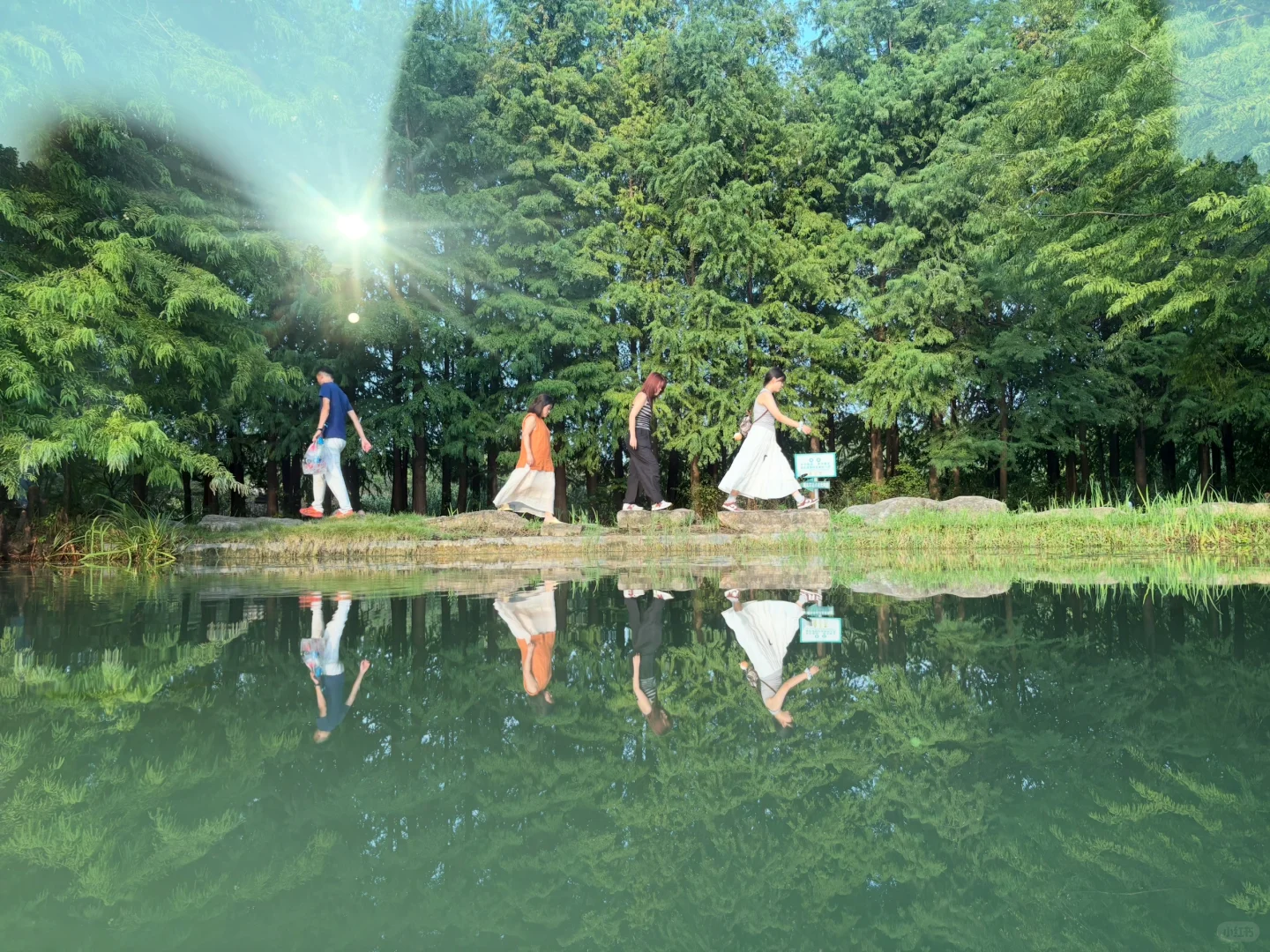 国庆第四天，虎丘湿地公园