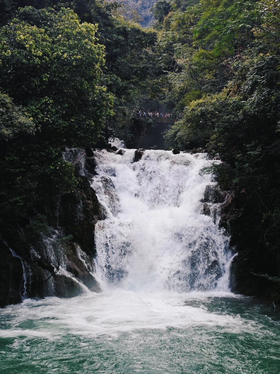10月4号下午进荔波小七孔，没堵😳