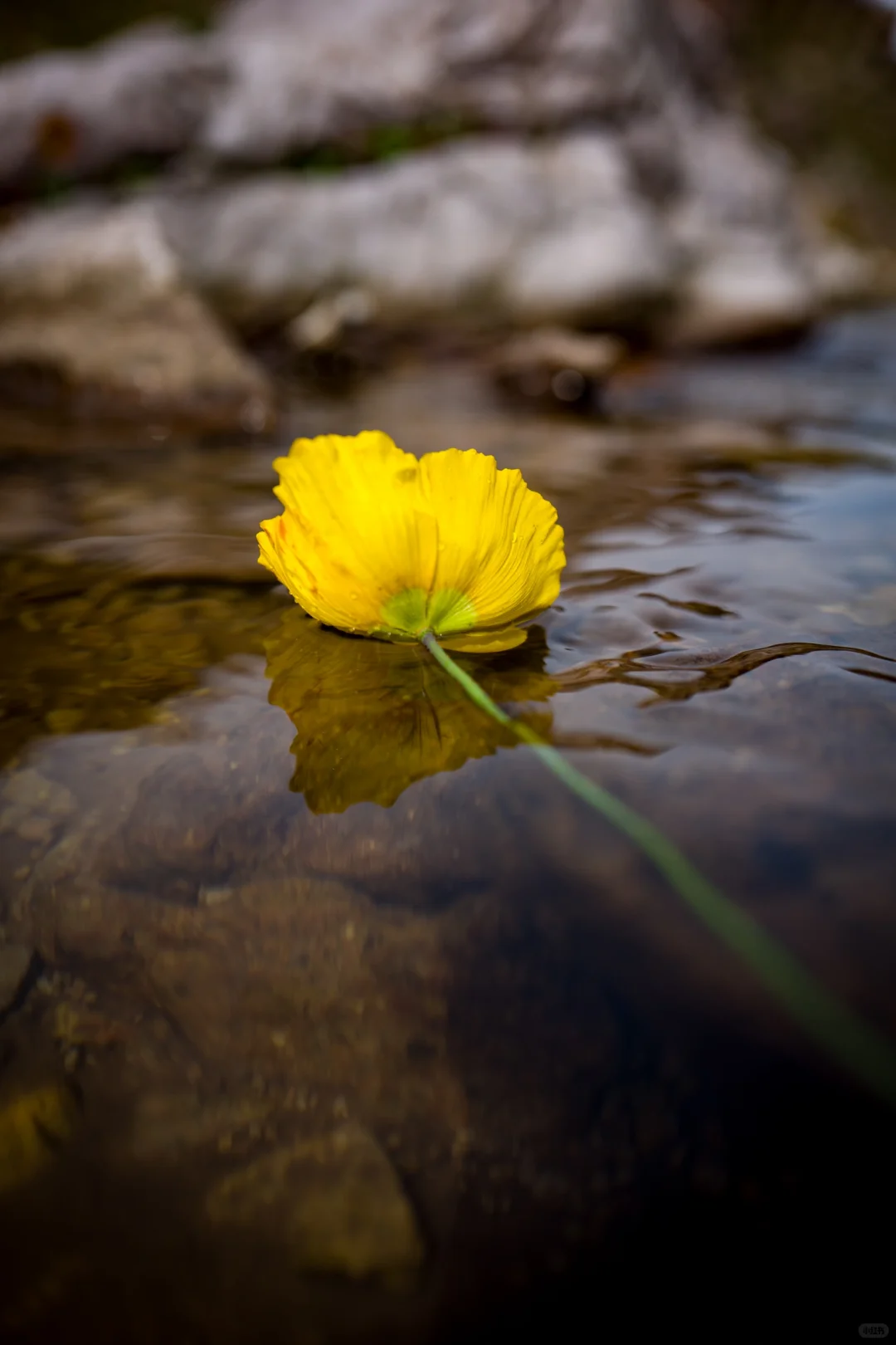 十一河北人少开车直达山顶溪流五彩林在这里
