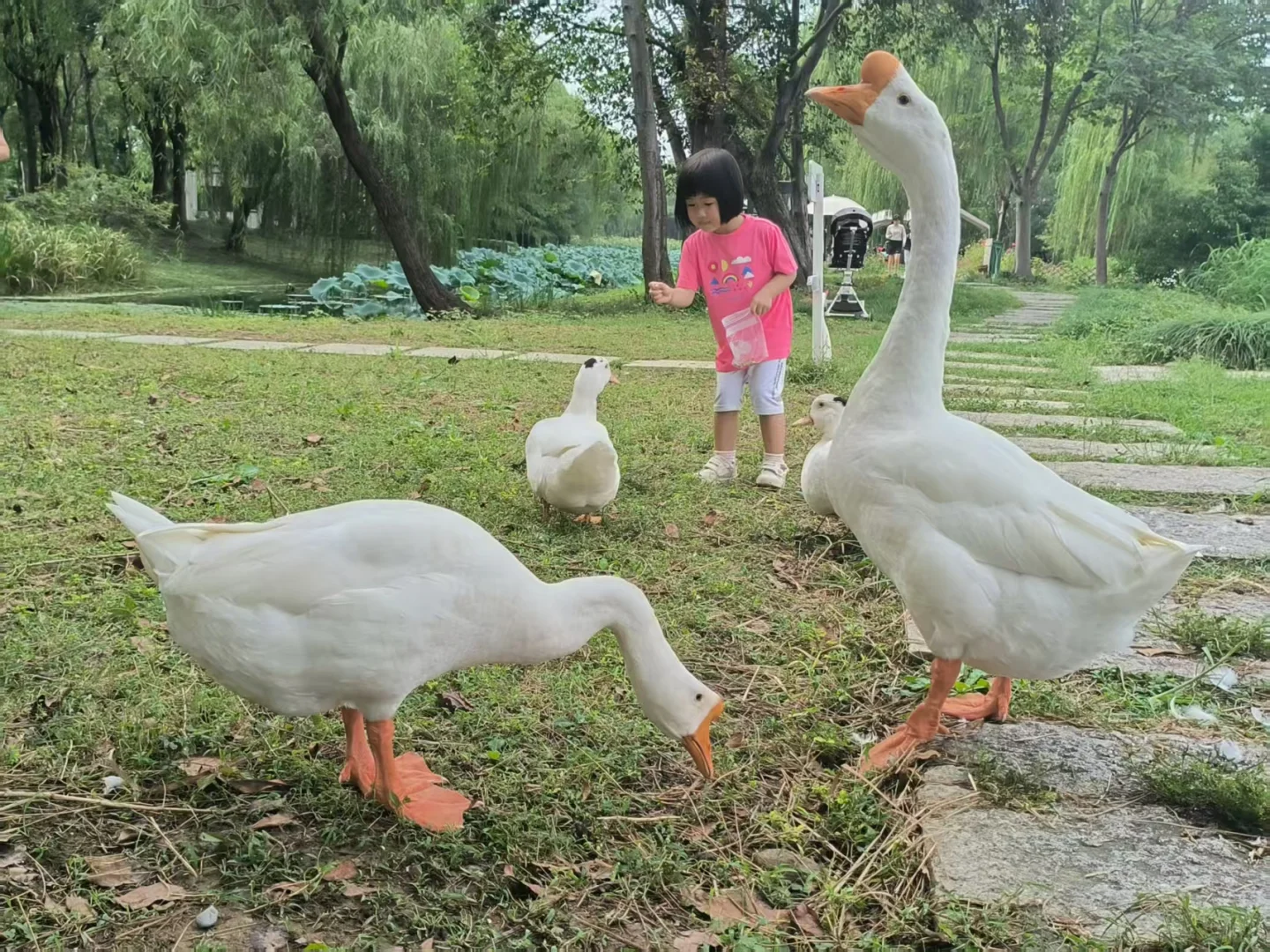 国庆第四天，虎丘湿地公园