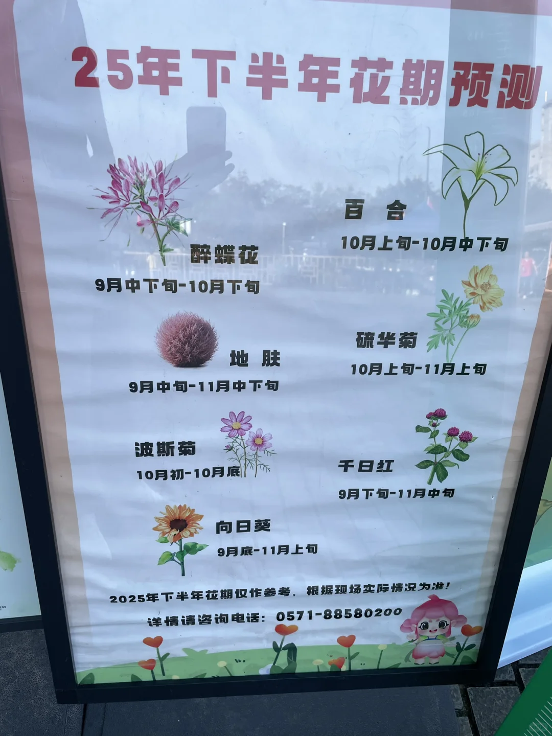 10.4📷 杭州径山花海进入最美花季