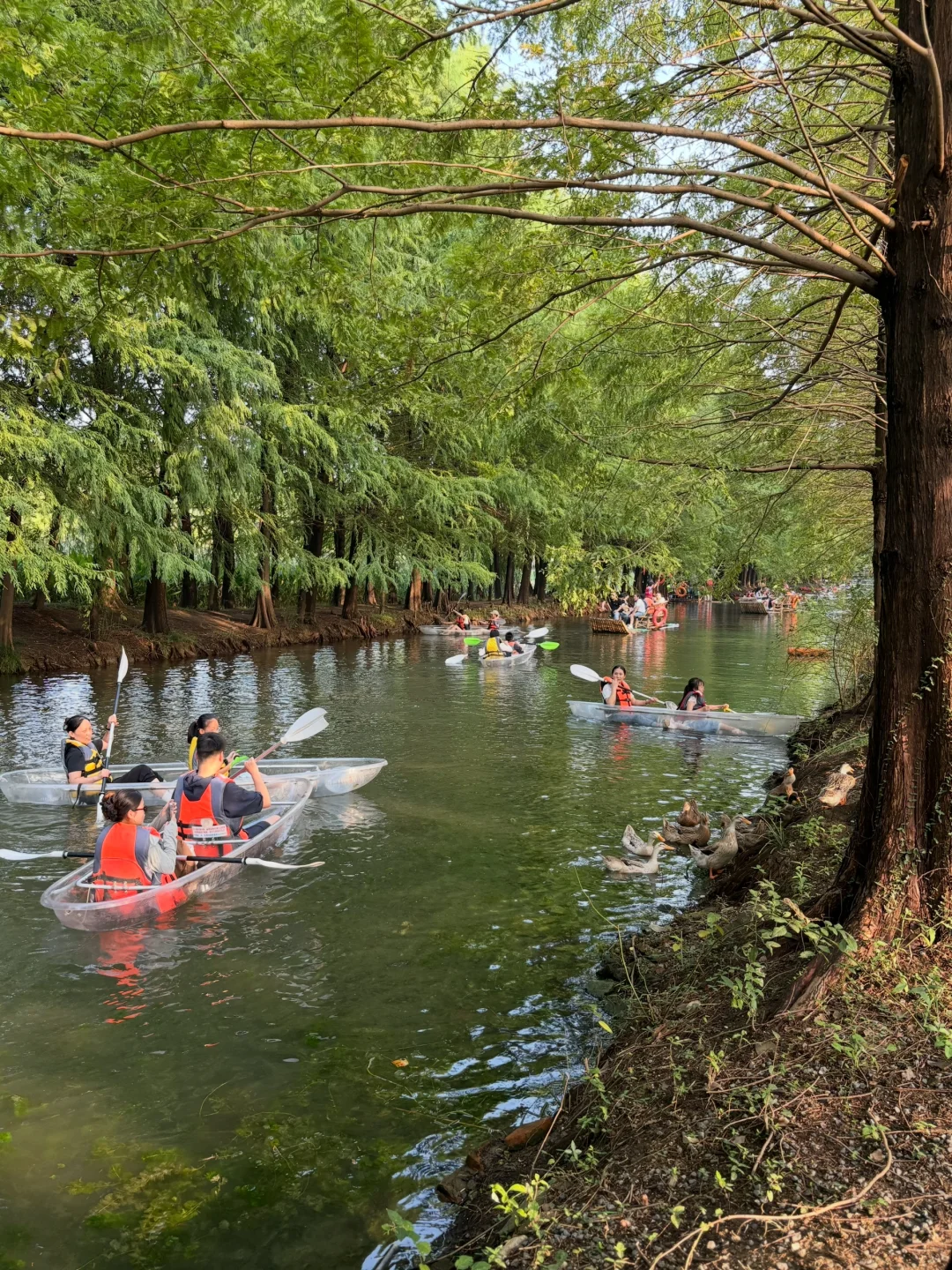 国庆第四天，虎丘湿地公园
