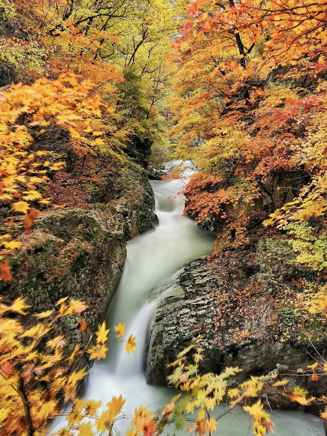 秋景封神！本溪赏枫全攻略🍁