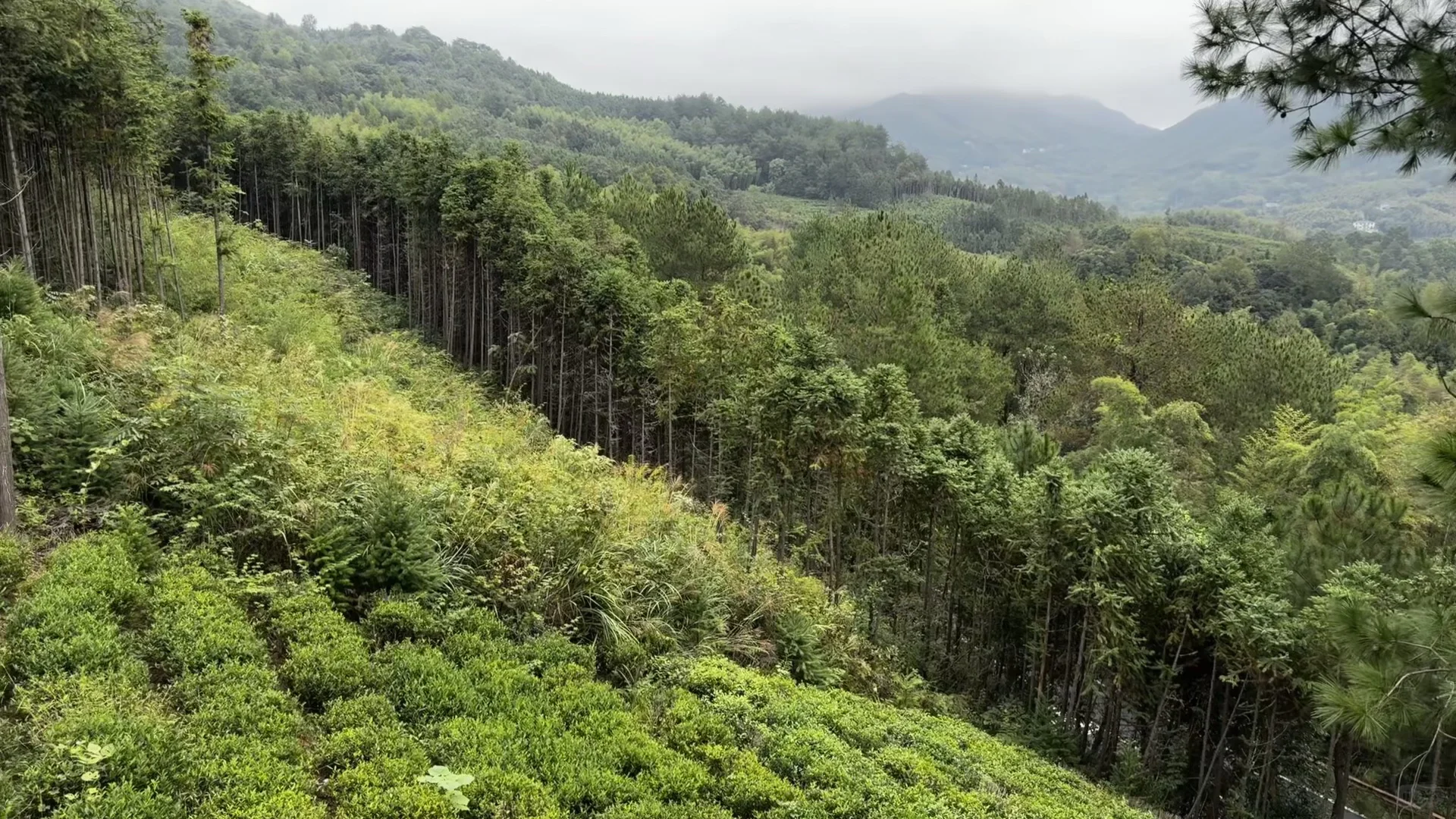 10月4号 皖南川藏线已去！太惊喜了！不堵车！