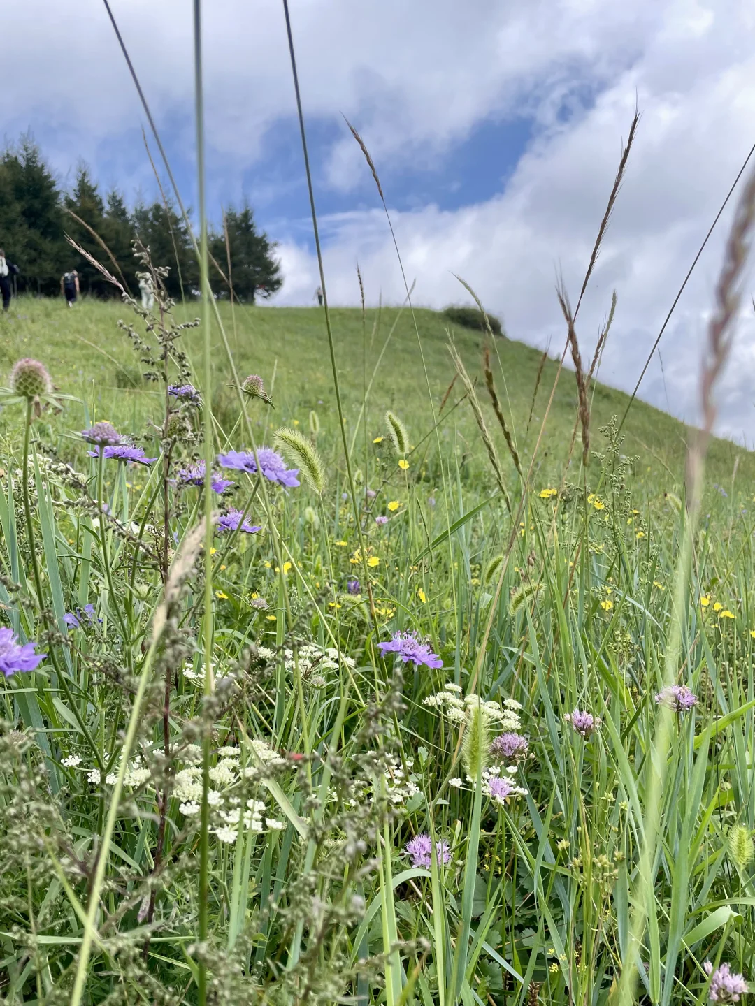 不是阿勒泰去不起，而是河北蔚县更有性价比