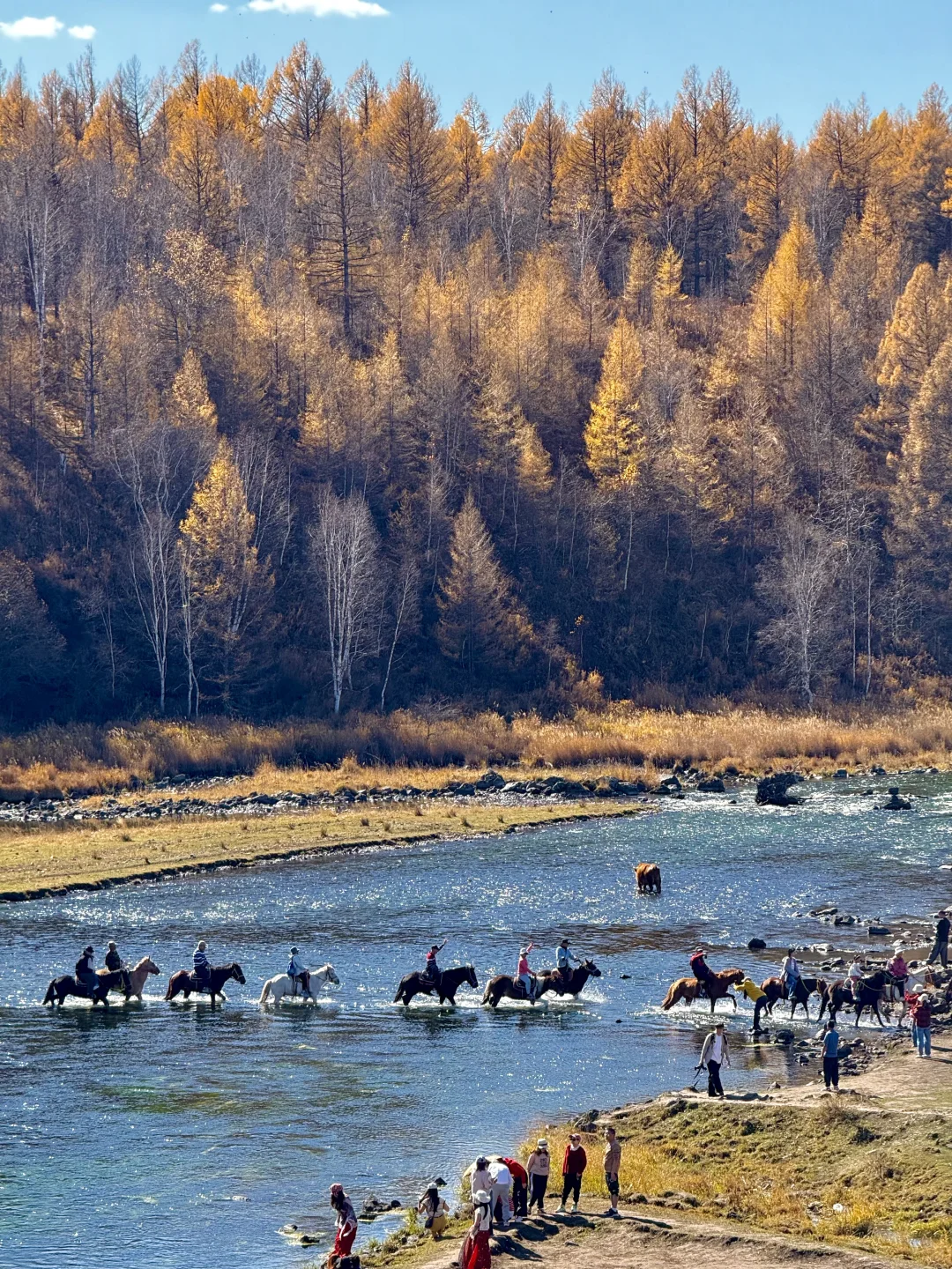 10.1 live图实况❗️此刻的呼伦贝尔杀疯了😭